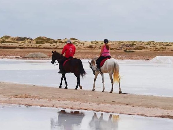 Tour de chevaux