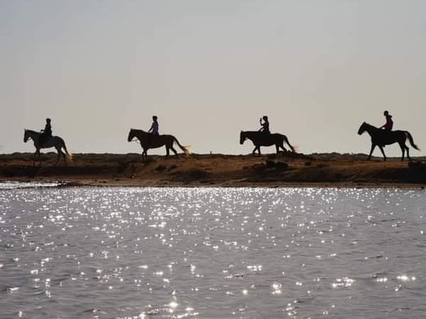 Tour de chevaux