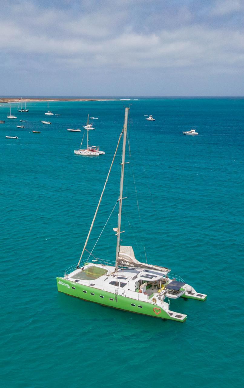 Promenade de Catamarã et veleiro