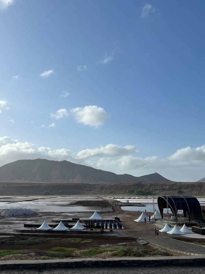 Salines