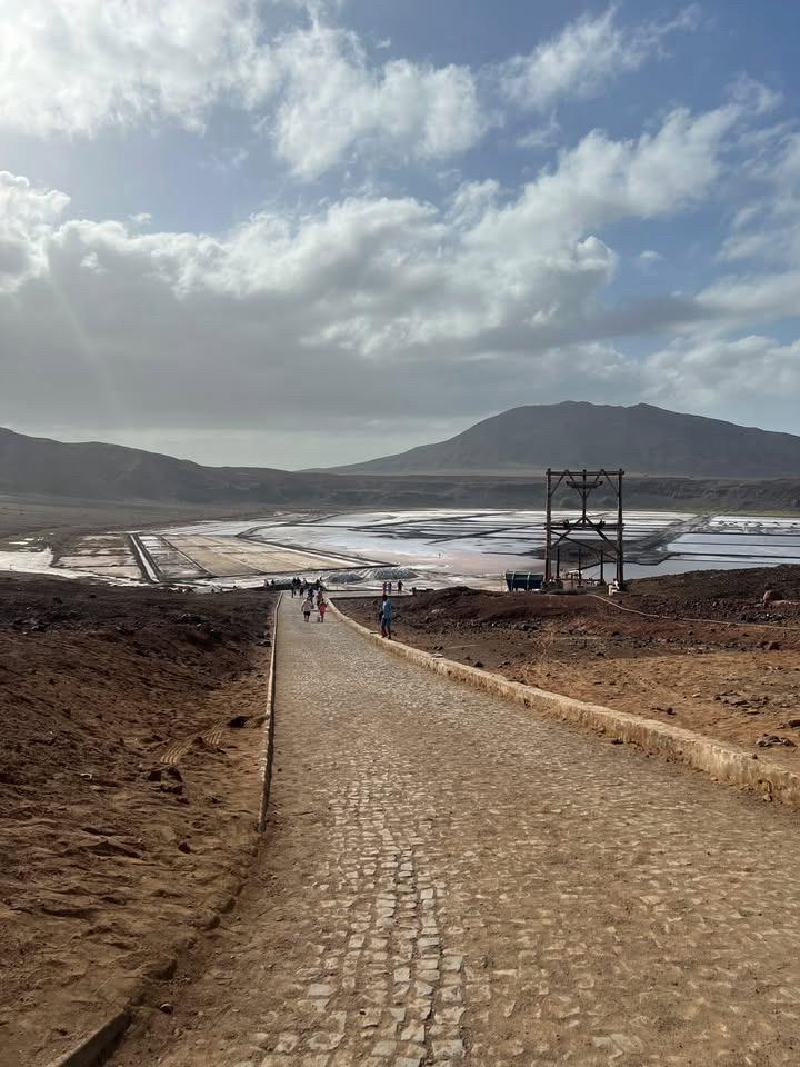 Salines